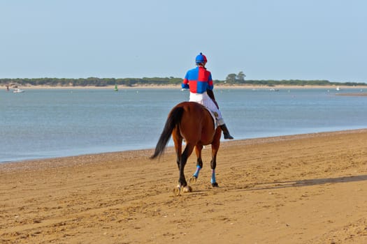 SANLUCAR DE BARRAMEDA, CADIZ, SPAIN - AUGUST 10: Unidentified rider at the start of race horses on Sanlucar de Barrameda beach on August 10, 2011 in Sanlucar de Barrameda, Cadiz, Spain.
