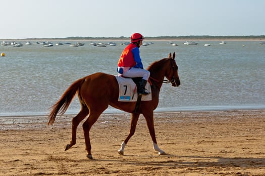 SANLUCAR DE BARRAMEDA, CADIZ, SPAIN - AUGUST 10: Unidentified rider at the start of race horses on Sanlucar de Barrameda beach on August 10, 2011 in Sanlucar de Barrameda, Cadiz, Spain.