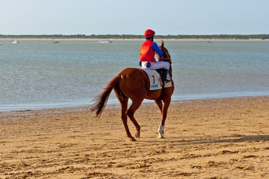 SANLUCAR DE BARRAMEDA, CADIZ, SPAIN - AUGUST 10: Unidentified rider at the start of race horses on Sanlucar de Barrameda beach on August 10, 2011 in Sanlucar de Barrameda, Cadiz, Spain.