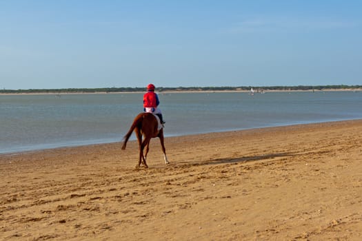 SANLUCAR DE BARRAMEDA, CADIZ, SPAIN - AUGUST 10: Unidentified rider at the start of race horses on Sanlucar de Barrameda beach on August 10, 2011 in Sanlucar de Barrameda, Cadiz, Spain.