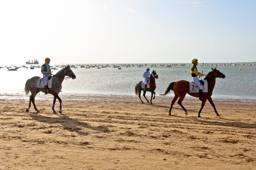 SANLUCAR DE BARRAMEDA, CADIZ, SPAIN - AUGUST 10: Unidentified rider at the start of race horses on Sanlucar de Barrameda beach on August 10, 2011 in Sanlucar de Barrameda, Cadiz, Spain.