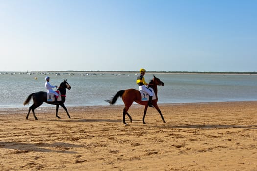 SANLUCAR DE BARRAMEDA, CADIZ, SPAIN - AUGUST 10: Unidentified rider at the start of race horses on Sanlucar de Barrameda beach on August 10, 2011 in Sanlucar de Barrameda, Cadiz, Spain.