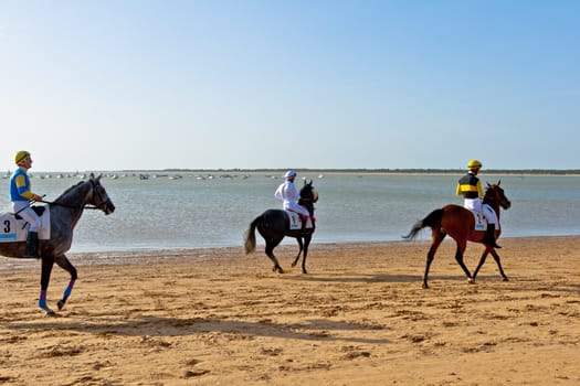 SANLUCAR DE BARRAMEDA, CADIZ, SPAIN - AUGUST 10: Unidentified rider at the start of race horses on Sanlucar de Barrameda beach on August 10, 2011 in Sanlucar de Barrameda, Cadiz, Spain.