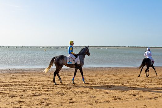 SANLUCAR DE BARRAMEDA, CADIZ, SPAIN - AUGUST 10: Unidentified rider at the start of race horses on Sanlucar de Barrameda beach on August 10, 2011 in Sanlucar de Barrameda, Cadiz, Spain.