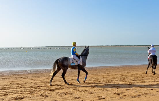 SANLUCAR DE BARRAMEDA, CADIZ, SPAIN - AUGUST 10: Unidentified riders at the start of race horses on Sanlucar de Barrameda beach on August 10, 2011 in Sanlucar de Barrameda, Cadiz, Spain.