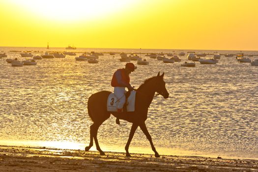 SANLUCAR DE BARRAMEDA, CADIZ, SPAIN - AUGUST 10: Unidentified riders at the start of race horses on Sanlucar de Barrameda beach on August 10, 2011 in Sanlucar de Barrameda, Cadiz, Spain.