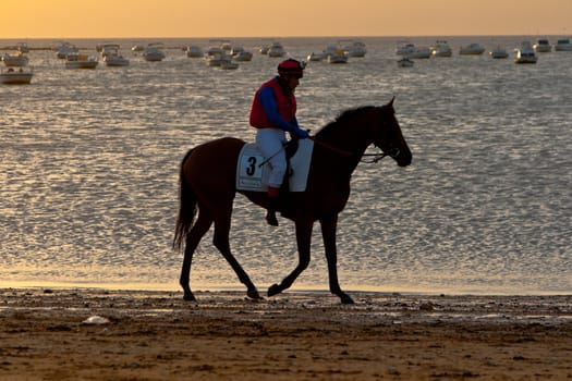 SANLUCAR DE BARRAMEDA, CADIZ, SPAIN - AUGUST 10: Unidentified riders at the start of race horses on Sanlucar de Barrameda beach on August 10, 2011 in Sanlucar de Barrameda, Cadiz, Spain.