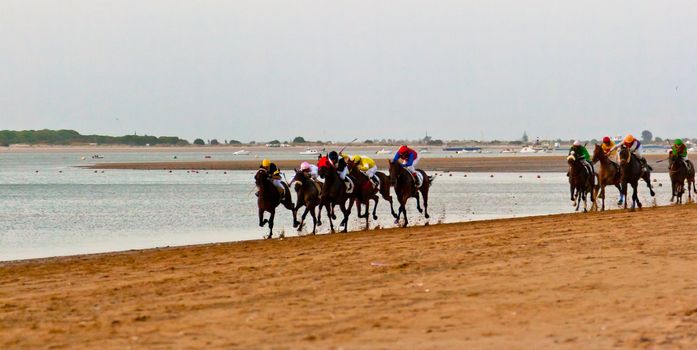 SANLUCAR DE BARRAMEDA, CADIZ, SPAIN - AUGUST 10: Unidentified riders race horses on Sanlucar de Barrameda beach on August 10, 2011 in Sanlucar de Barrameda, Cadiz, Spain.