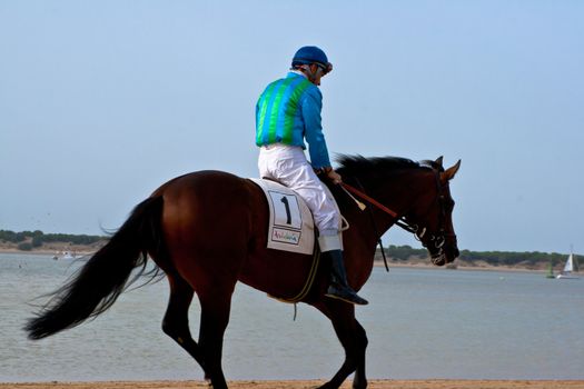 SANLUCAR DE BARRAMEDA, CADIZ, SPAIN - AUGUST 10: Unidentified rider at the start of race horses on Sanlucar de Barrameda beach on August 10, 2011 in Sanlucar de Barrameda, Cadiz, Spain.