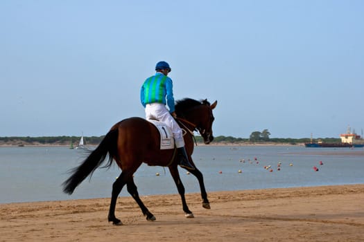 SANLUCAR DE BARRAMEDA, CADIZ, SPAIN - AUGUST 10: Unidentified rider at the start of race horses on Sanlucar de Barrameda beach on August 10, 2011 in Sanlucar de Barrameda, Cadiz, Spain.
