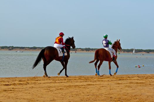 SANLUCAR DE BARRAMEDA, CADIZ, SPAIN - AUGUST 10: Unidentified rider at the start of race horses on Sanlucar de Barrameda beach on August 10, 2011 in Sanlucar de Barrameda, Cadiz, Spain.