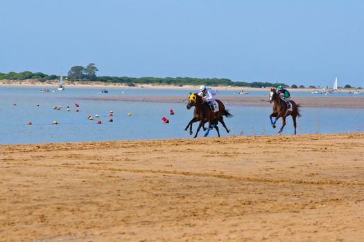 SANLUCAR DE BARRAMEDA, CADIZ, SPAIN - AUGUST 10: Unidentified rider at the start of race horses on Sanlucar de Barrameda beach on August 10, 2011 in Sanlucar de Barrameda, Cadiz, Spain.