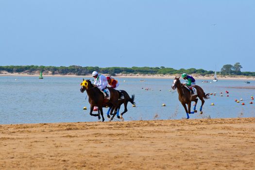SANLUCAR DE BARRAMEDA, CADIZ, SPAIN - AUGUST 10: Unidentified rider at the start of race horses on Sanlucar de Barrameda beach on August 10, 2011 in Sanlucar de Barrameda, Cadiz, Spain.
