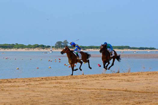 SANLUCAR DE BARRAMEDA, CADIZ, SPAIN - AUGUST 10: Unidentified rider at the start of race horses on Sanlucar de Barrameda beach on August 10, 2011 in Sanlucar de Barrameda, Cadiz, Spain.