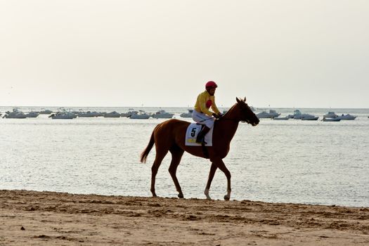 SANLUCAR DE BARRAMEDA, CADIZ, SPAIN - AUGUST 10: Unidentified rider at the start of race horses on Sanlucar de Barrameda beach on August 10, 2011 in Sanlucar de Barrameda, Cadiz, Spain.