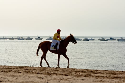 SANLUCAR DE BARRAMEDA, CADIZ, SPAIN - AUGUST 10: Unidentified rider at the start of race horses on Sanlucar de Barrameda beach on August 10, 2011 in Sanlucar de Barrameda, Cadiz, Spain.