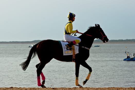 SANLUCAR DE BARRAMEDA, CADIZ, SPAIN - AUGUST 10: Unidentified rider at the start of race horses on Sanlucar de Barrameda beach on August 10, 2011 in Sanlucar de Barrameda, Cadiz, Spain.