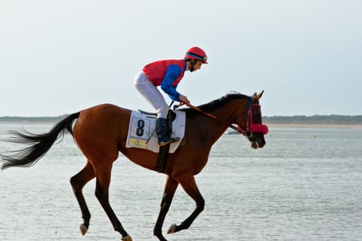SANLUCAR DE BARRAMEDA, CADIZ, SPAIN - AUGUST 10: Unidentified rider at the start of race horses on Sanlucar de Barrameda beach on August 10, 2011 in Sanlucar de Barrameda, Cadiz, Spain.