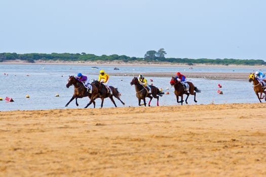 SANLUCAR DE BARRAMEDA, CADIZ, SPAIN - AUGUST 10: Unidentified rider at the start of race horses on Sanlucar de Barrameda beach on August 10, 2011 in Sanlucar de Barrameda, Cadiz, Spain.