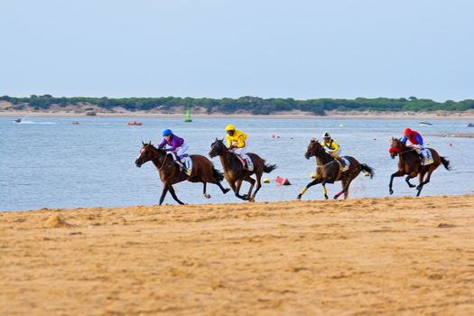 SANLUCAR DE BARRAMEDA, CADIZ, SPAIN - AUGUST 11: Unidentified riders race horses on Sanlucar de Barrameda beach on August 11, 2011 in Sanlucar de Barrameda, Cadiz, Spain.