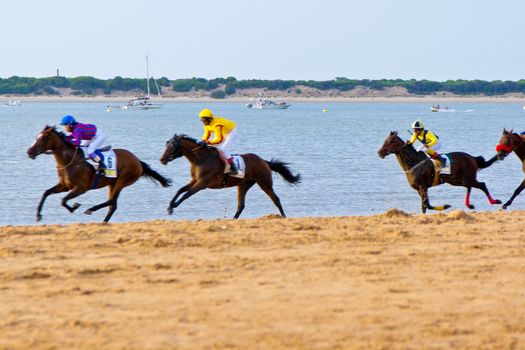 SANLUCAR DE BARRAMEDA, CADIZ, SPAIN - AUGUST 11: Unidentified riders race horses on Sanlucar de Barrameda beach on August 11, 2011 in Sanlucar de Barrameda, Cadiz, Spain.