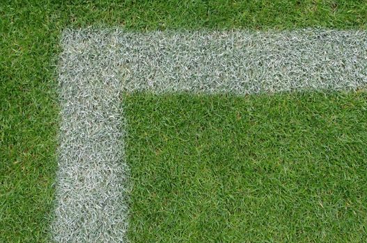 soccer field close-ups of markings of the field