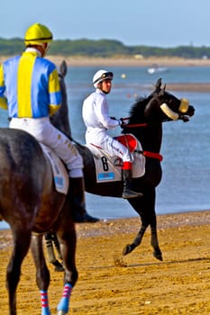 SANLUCAR DE BARRAMEDA, CADIZ, SPAIN - AUGUST 10: Unidentified rider at the start of race horses on Sanlucar de Barrameda beach on August 10, 2011 in Sanlucar de Barrameda, Cadiz, Spain.
