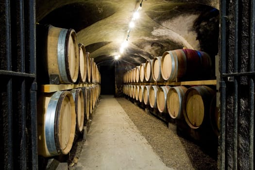 Chateau de Cary Potet (wine cellar), Buxy, Burgundy, France