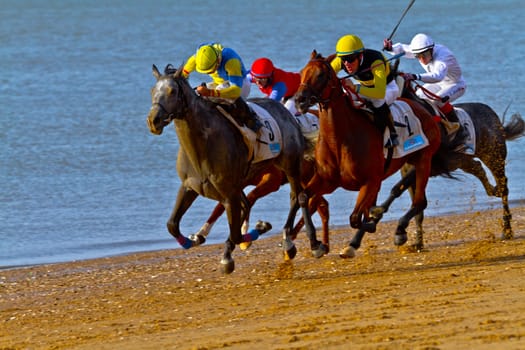 SANLUCAR DE BARRAMEDA, CADIZ, SPAIN - AUGUST 10: Unidentified rider at the start of race horses on Sanlucar de Barrameda beach on August 10, 2011 in Sanlucar de Barrameda, Cadiz, Spain.