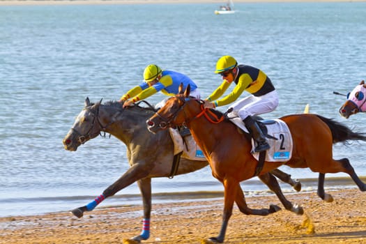 SANLUCAR DE BARRAMEDA, CADIZ, SPAIN - AUGUST 10: Unidentified rider at the start of race horses on Sanlucar de Barrameda beach on August 10, 2011 in Sanlucar de Barrameda, Cadiz, Spain.