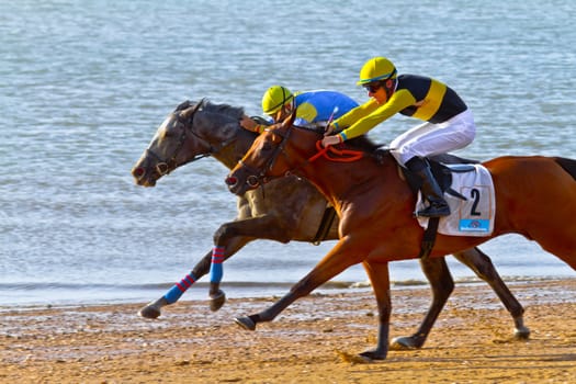 SANLUCAR DE BARRAMEDA, CADIZ, SPAIN - AUGUST 10: Unidentified rider at the start of race horses on Sanlucar de Barrameda beach on August 10, 2011 in Sanlucar de Barrameda, Cadiz, Spain.