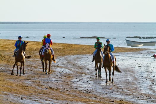 SANLUCAR DE BARRAMEDA, CADIZ, SPAIN - AUGUST 10: Unidentified rider at the start of race horses on Sanlucar de Barrameda beach on August 10, 2011 in Sanlucar de Barrameda, Cadiz, Spain.
