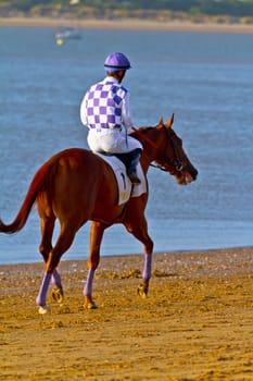 SANLUCAR DE BARRAMEDA, CADIZ, SPAIN - AUGUST 10: Unidentified riders at the start of race horses on Sanlucar de Barrameda beach on August 10, 2011 in Sanlucar de Barrameda, Cadiz, Spain.