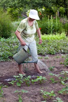 Happy senior woman working in her garden