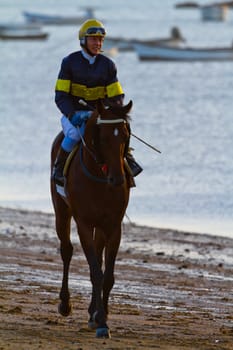 SANLUCAR DE BARRAMEDA, CADIZ, SPAIN - AUGUST 10: Unidentified riders at the start of race horses on Sanlucar de Barrameda beach on August 10, 2011 in Sanlucar de Barrameda, Cadiz, Spain.