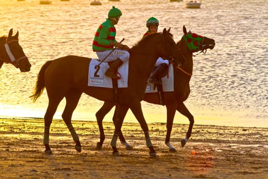 SANLUCAR DE BARRAMEDA, CADIZ, SPAIN - AUGUST 10: Unidentified riders at the start of race horses on Sanlucar de Barrameda beach on August 10, 2011 in Sanlucar de Barrameda, Cadiz, Spain.