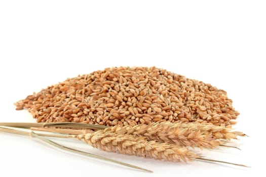 a handful of cereal and wheat ears on a white background
