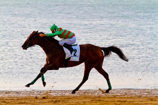 SANLUCAR DE BARRAMEDA, CADIZ, SPAIN - AUGUST 10: Unidentified riders race horses on Sanlucar de Barrameda beach on August 10, 2011 in Sanlucar de Barrameda, Cadiz, Spain.