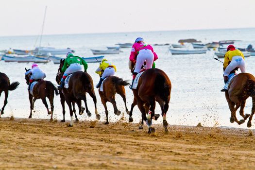 SANLUCAR DE BARRAMEDA, CADIZ, SPAIN - AUGUST 10: Unidentified riders race horses on Sanlucar de Barrameda beach on August 10, 2011 in Sanlucar de Barrameda, Cadiz, Spain.