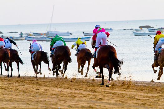 SANLUCAR DE BARRAMEDA, CADIZ, SPAIN - AUGUST 10: Unidentified riders race horses on Sanlucar de Barrameda beach on August 10, 2011 in Sanlucar de Barrameda, Cadiz, Spain.
