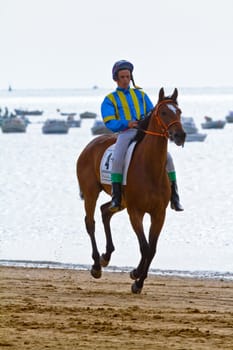SANLUCAR DE BARRAMEDA, CADIZ, SPAIN - AUGUST 11: Unidentified rider at the start of race horses on Sanlucar de Barrameda beach on August 11, 2011 in Sanlucar de Barrameda, Cadiz, Spain.