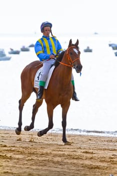 SANLUCAR DE BARRAMEDA, CADIZ, SPAIN - AUGUST 11: Unidentified rider at the start of race horses on Sanlucar de Barrameda beach on August 11, 2011 in Sanlucar de Barrameda, Cadiz, Spain.