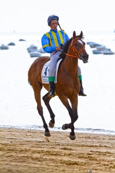 SANLUCAR DE BARRAMEDA, CADIZ, SPAIN - AUGUST 11: Unidentified rider at the start of race horses on Sanlucar de Barrameda beach on August 11, 2011 in Sanlucar de Barrameda, Cadiz, Spain.