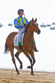 SANLUCAR DE BARRAMEDA, CADIZ, SPAIN - AUGUST 11: Unidentified rider at the start of race horses on Sanlucar de Barrameda beach on August 11, 2011 in Sanlucar de Barrameda, Cadiz, Spain.