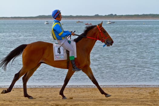 SANLUCAR DE BARRAMEDA, CADIZ, SPAIN - AUGUST 11: Unidentified rider at the start of race horses on Sanlucar de Barrameda beach on August 11, 2011 in Sanlucar de Barrameda, Cadiz, Spain.