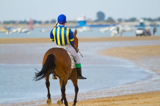 SANLUCAR DE BARRAMEDA, CADIZ, SPAIN - AUGUST 11: Unidentified rider at the start of race horses on Sanlucar de Barrameda beach on August 11, 2011 in Sanlucar de Barrameda, Cadiz, Spain.