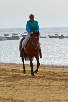 SANLUCAR DE BARRAMEDA, CADIZ, SPAIN - AUGUST 11: Unidentified rider at the start of race horses on Sanlucar de Barrameda beach on August 11, 2011 in Sanlucar de Barrameda, Cadiz, Spain.