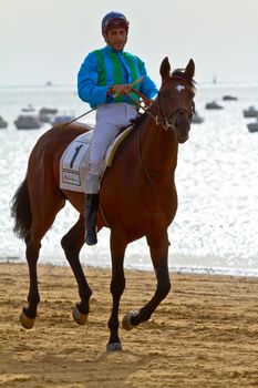 SANLUCAR DE BARRAMEDA, CADIZ, SPAIN - AUGUST 11: Unidentified rider at the start of race horses on Sanlucar de Barrameda beach on August 11, 2011 in Sanlucar de Barrameda, Cadiz, Spain.
