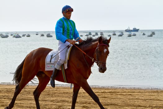 SANLUCAR DE BARRAMEDA, CADIZ, SPAIN - AUGUST 11: Unidentified rider at the start of race horses on Sanlucar de Barrameda beach on August 11, 2011 in Sanlucar de Barrameda, Cadiz, Spain.
