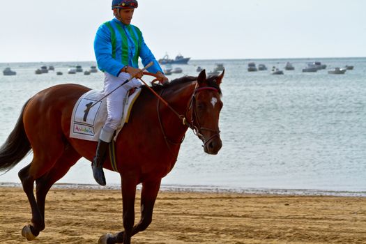 SANLUCAR DE BARRAMEDA, CADIZ, SPAIN - AUGUST 11: Unidentified rider at the start of race horses on Sanlucar de Barrameda beach on August 11, 2011 in Sanlucar de Barrameda, Cadiz, Spain.